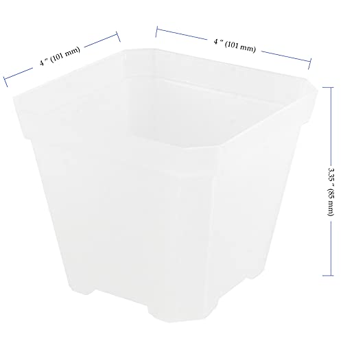 40 PCS 4 Inches Plastic Square Nursery Pot, Transparent Square Plastic Starter Pots with Drainage Hole, Clear Nursery Pots for Your Room, Garden, Office and Balcony Decor - size: 4 Inch 40 PCS