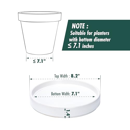 D'vine Dev Ceramic Plant Saucer/Drainage Tray, 7.1 in, White, 97-T-A-3 - color: White, size: 7.1" (1 Pack)