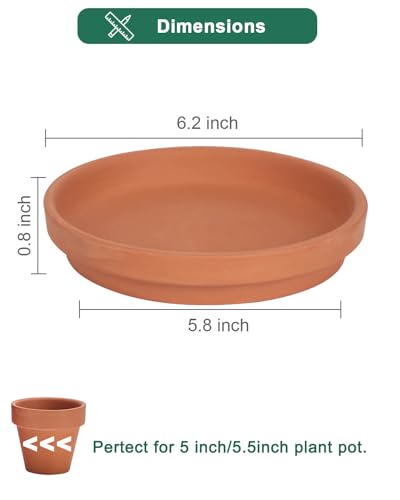 vensovo 6 Inch Terracotta Plant Saucers, 6 Pack Small Clay Trays for Pots - color: Brown, size: 6 inch