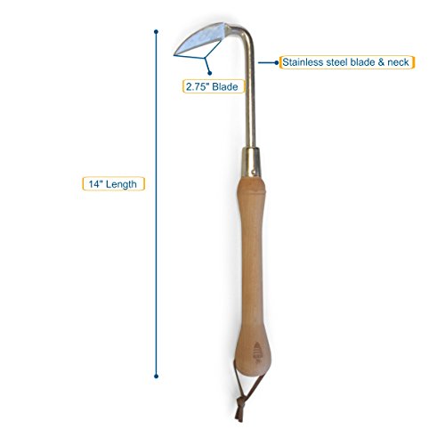 Carrot Design Cape Cod Weeder Hand Garden Weeding Tool - Stainless Steel