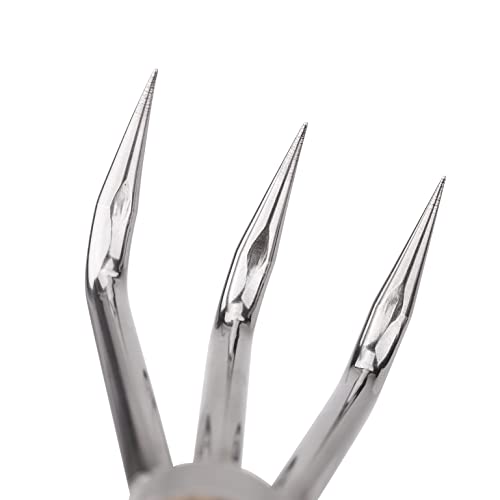 Nisaku NJP957 Nekaki Sanbondume Handheld Triple Claw Cultivator, Japanese Stainless Steel Tine Length 1.5-Inch, 5.5-Inch Polished Wood Handle - style: Triple Claw