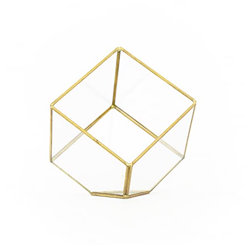 Heptahedron Geometric Glass Terrarium Kit with Red Abdita and Ionantha - Air Plant Tillandsia Holder - Live Tillandsia Succulent House Plant - Home and Garden Decor - Easy Care Indoor Outdoor Plants