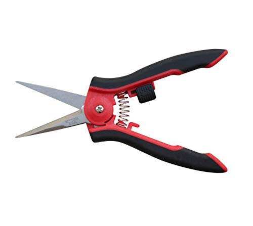 TABOR TOOLS K27A Micro-Tip Pruning Snips, 2-Pack Stainless Steel Garden Scissors & Pruning Shears, Precision Snips for Deadheading, Trimming Herbs, Flowers & Houseplants - style: K27A 2-Pack Micro-Tip Pruners