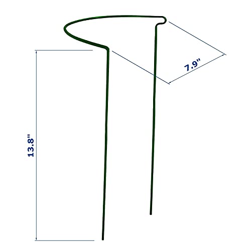 6 Pack 13.8 Inch High Plant Stake,Garden Plant Support,Half-Round Peony Cage Plant Ring Hoop - size: 7.9x13.8 Inch-6Pack