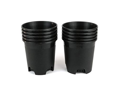 5.5 Inch Gardening Flower Pots 10-Pack Black Pot Liners 0.5 Gallon Nursery Pot Plastic Planters for Outdoor Indoor Plants with Drainage Holes - color: Black, size: 10 Pack 0.5 Gal