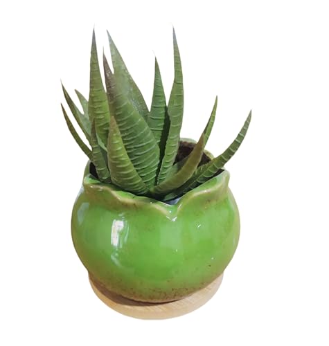 Cute 4" Round Ceramic Home Garden Decoration Succulent Cactus Flower Pots Container -Plant Not Included,Green - color: Green
