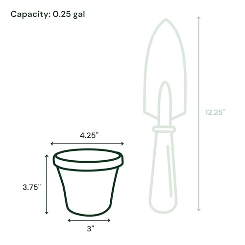 Bloem Terra 4" Plastic Planter, 0.25 Gallon, Navy, 10-Pack - color: Navy, size: 4" (Pack of 10)