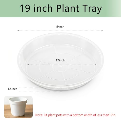 6Pack Plant Saucer, 3 5 7 9 11 13 15 17 19 21 In Plastic Plant Tray - size: 19 Inch