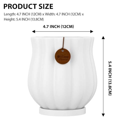 4.7" Matte White Ceramic Plant Pot with Saucer - color: Matte White, size: Small