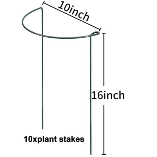 TCBWFY 10 Pack Garden Plant Support Stakes,10" Widex16 High Heavy Duty Interlinked Half Round Peony Support Ring Cage for Indoor Outdoor Plants,Plant Supports for Peony,Tomato,Hydrangea,Rose - size: 10"Dx16"H-10pcs