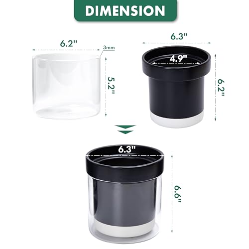 Phoenix Vine 6 Inch Self Watering Planter Pot, Black Terracotta Clay Pot with Glass Reservoir for Indoor Plants, Herbs, Flowers, Set of 2, 52-C-F-2 - color: Black, size: 6" (2 Pack)
