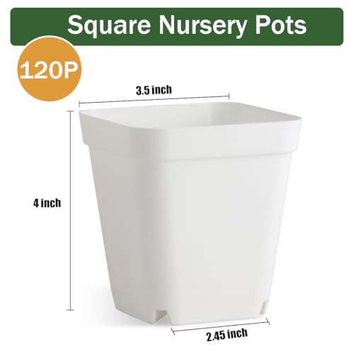 120 Pcs Nursery Pots 3.5 Inch, Plastic Seed Starting Pot with Drainage Holes, Small Sturdy Seedling pots for Planting, Cuttings (White) - color: White, size: 3.5 Inch-120P