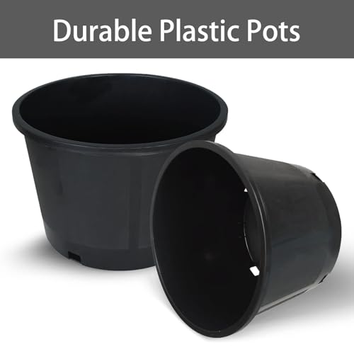 Plant Nursery Pot 10-Pack 5 Gallon Short Plastic Garden Planter Pots Flower Seedling Injection Molded Container Seed Starting Pot Set for Indoor Outdoor Plants Seedlings Vegetables Black - size: Short 5 Gallon