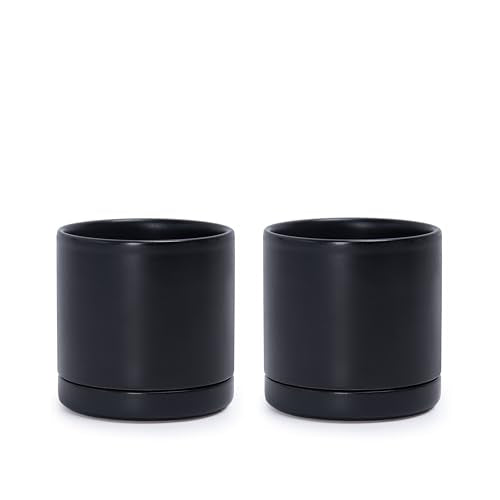 D'vine Dev 2-Pack Ceramic Pots with Saucers, Black, 3.5 in, 94-V-A-2 - color: Black, size: 3.5 Inch