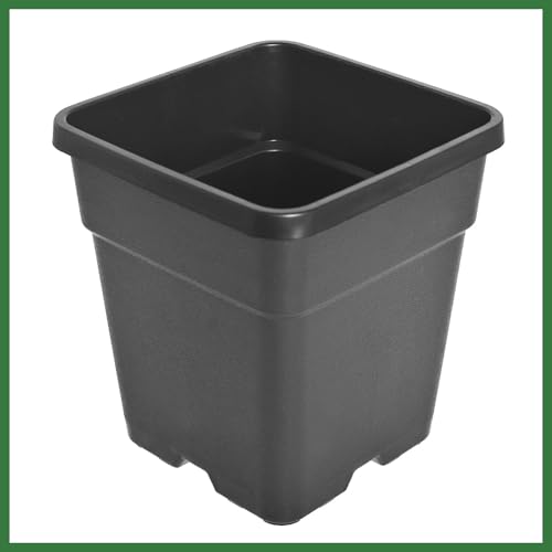 10 Pack 1.4 Gallon Plastic Planter Nursery Seedling Pots Square with Holes Garden Flower Seedling Pot Container for Seedling Cuttings Transplanting