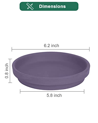 vensovo 6 Inch Purple Terracotta Plant Saucers, 6 Pack Small Clay Trays - color: Purple, size: 6 inch