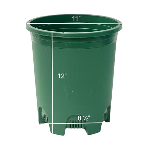 5 Gallon 10-Pack Green Nursery Pot Black Plastic Planters with Drainage for Outdoor Indoor Large Plants Trees - color: Green, size: 10-Pack 5 Gal