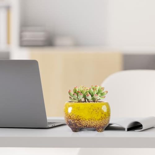 ARTKETTY Succulent Pots, Small Plant Pot with Drainage, Ceramic Planters - color: Colorful-c