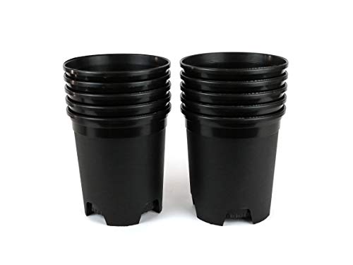 1 Gallon Nursery Pot Plastic Planters for Outdoor Indoor Plants Gardening Flower Pots 10-Pack 6 Inch Plant Pots with Drainage Holes - color: Black, size: 10-Pack 1 Gal