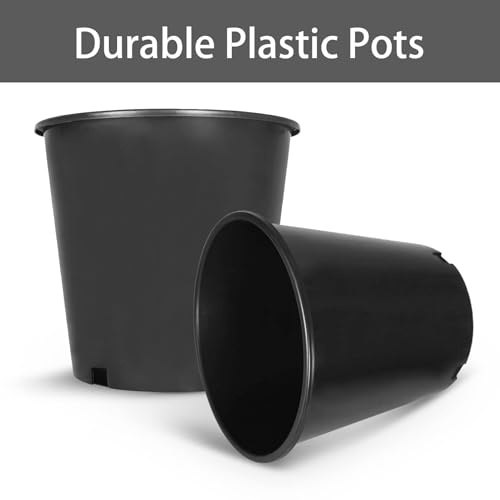 2 Gallon Plant Nursery Pot 10-Pack 2 Gallon Plastic Garden Planter Pots Flower Seedling Injection Molded Container Seed Starting Pot for Indoor Outdoor Plants Seedlings Vegetables Black - size: Standard 2 Gallon