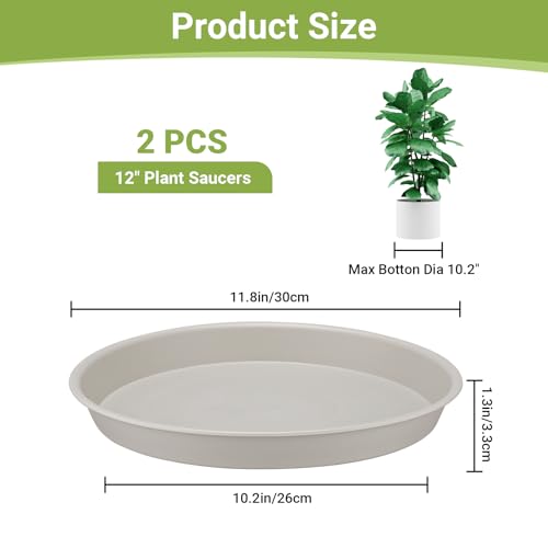 GREANER 12 Inch Beige Plant Pot Saucers, Large Durable and Thicker Plastic Water Trays, Plant Drainage Tray for Indoors Outdoors Planters - color: Beige, size: 12"- 2 Packs