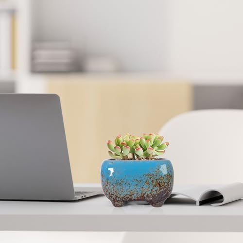 ARTKETTY Succulent Pots, Small Plant Pots with Drainage Set of 6 - color: Colorful-b