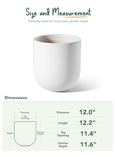 LE TAUCI 12 Inch Ceramic Pots for Plants, Large Planter, White - color: White, size: 12“
