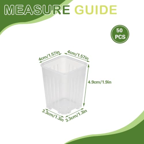 50 Pack 1.6'' Square Nursery Pots, Tiny Clear Seedling Planters with Drainage Holes, Plastic Mini Deep Transplant Pot for Herb, Succulent, Germination, Seed Starting, Cuttings - size: 1.6 inches