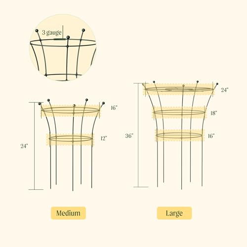 Peony Cages and Supports 2 Pack, Heavy Duty Metal Flower Support Cage, 24"(W) x 36" (H) Trumpet Plant Support for Peonies, Roses, Perennials & Garden Flowers, Rust-Resistant Steel Plant Support Ring - size: Large