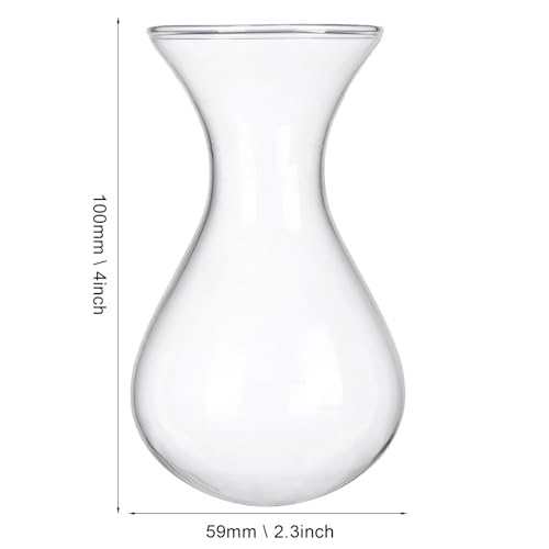 Plant Propagation Station Accessories, 2 Pack Glass Hyacinth vase
