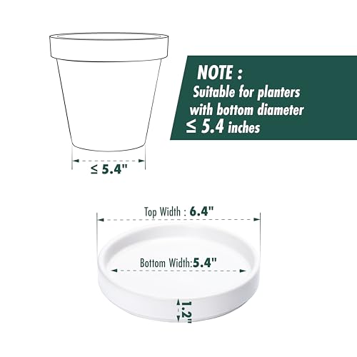 D'vine Dev 2-Pack Ceramic Plant Saucers, 5.4 in, White, 97-T-A-22 - color: White, size: 5.4" (2 Pack)