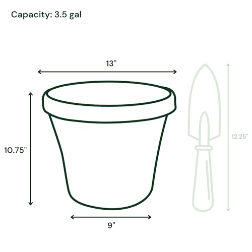 Bloem Terra 12" Plastic Planter, 3.5 Gallon, Basil, 6-Pack - color: Basil, size: 12" (Pack of 6)