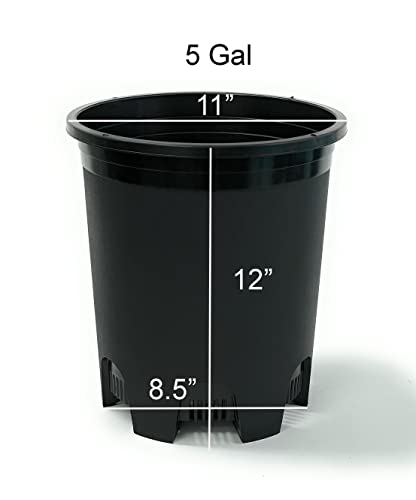 5 Gallon 10-Pack Nursery Pot Black Plastic Planters with Drainage for Outdoor Indoor Large Plants Trees - color: Black, size: 10-Pack 5 Gal