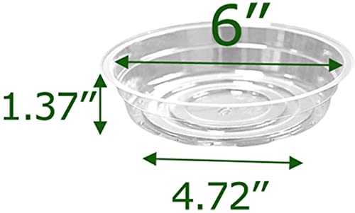 TRUEDAYS 20 Pack 6 Inch Plant Saucers Clear Plant Saucers Flower Pot Plastic Drip Trays Excellent for Indoor & Outdoor Plants - size: 20-Pack (6'' Only)