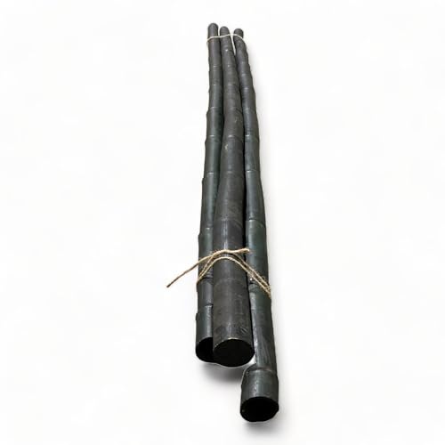 Pack of 3 Bamboo Sticks - 6 Feet Long Natural Thick Bamboo Poles - 1.5 in Diameter - Garden Stakes (Black) - color: Black