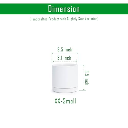 D'vine Dev 2-Pack Ceramic Pots with Saucers, White, 3.5 in, 94-V-A-1 - color: White, size: 3.5 Inch