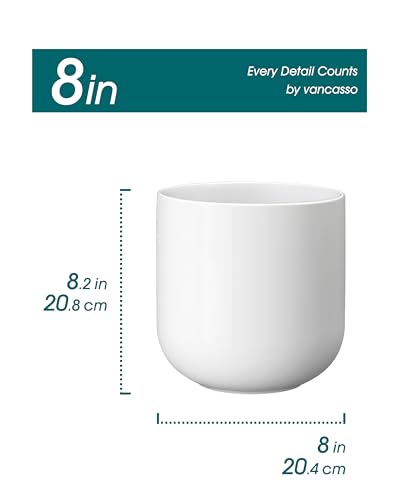 vancasso 8 Inch Ceramic Plant Pots, Planters with Drainage Hole, Flower Pots Planters Pots for Indoor Plants, Modern Indoor Decorative Garden Pot, Home Decor, White - color: White, size: 8 Inch