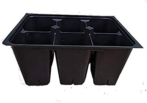 Seed Starter Trays 600 DEEP Extra Large Cells (100 Trays of 6 Cells)
