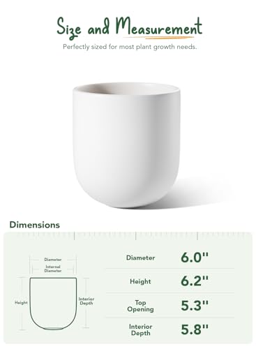 LE TAUCI 6 Inch Ceramic Plant Pot, Small Indoor Planter, White - color: White, size: 6”