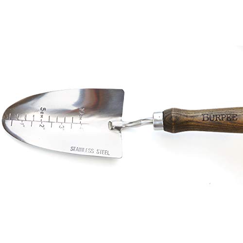 Burpee 13" Stainless Steel Trowel | Durable Long Lasting Garden Tool | Leather Wrist Strap 5" Handle, 10 Year Warranty - color: Walnut, style: Trowel