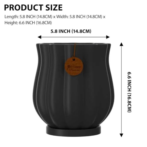 5.8" Matte Black Ceramic Plant Pot with Saucer - color: Matte Black, size: Medium