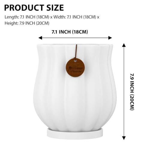 7.1" Matte White Ceramic Plant Pot with Saucer - color: Matte White, size: Large