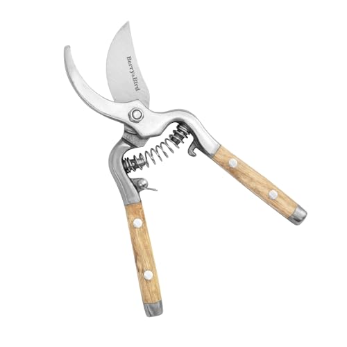 Berry&Bird 8'' Bypass Pruning Shears with Wooden Handle, Curved Blade Garden Hand Pruner, Stainless Steel Scissors Ultra Sharp Clippers for Gardening Trimming Cutting Bonsai Plant Flower & Picking - style: 8'' Curved Blade Scissors