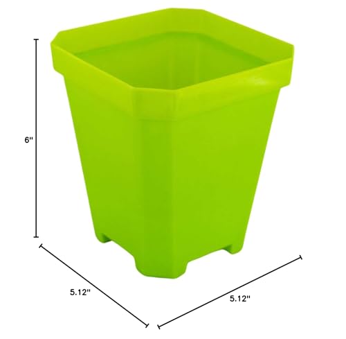 Bootstrap Farmer 16 pc Green Heavy Duty Square 5 in Nursery Pots for Seed Starting Flowers Germination with Drainage Holes - color: Green, size: Pots Only