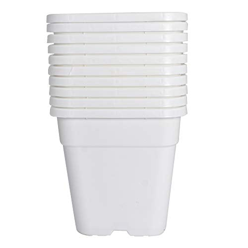 Plant Nursery Pot 10-Pack 1 Gallon Square Plastic Garden Planter Pots Flower Seedling Injection Molded Container Seed Starting Pot Set for Indoor Outdoor Plants Seedlings Vegetables White - color: White, size: 1 Gallon