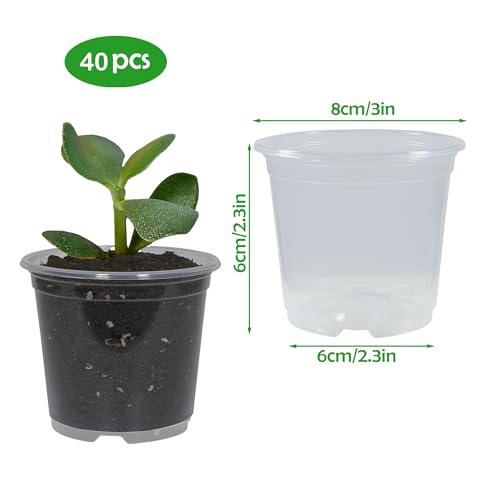 40 Pack 3 Inch Clear Nursery Pots with Drainage Plant Pots for Plants Transparent Potting Containers for Plants Seeding Starter Pot (Clear, 3 Inch 40 Pcs) - color: Clear, size: 3 Inch 40 Pcs