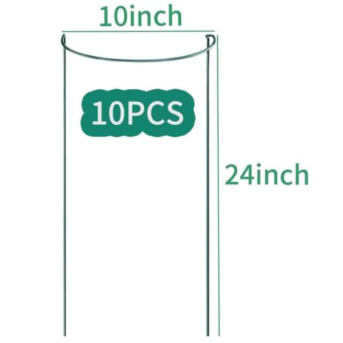 TCBWFY 10 Pack Plant Support Stakes for Peony,10"Widex24"High Heavy Duty 4.5mm Peony Cages and Support,Metal Peony Supports for Outdoor Indoor Plants,Plant Supports for Peony - size: 10"Dx24"H-10pcs