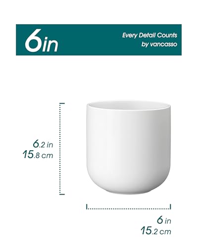 vancasso 6 Inch Ceramic Plant Pots, Planters with Drainage Hole, Flower Pots Planters Pots for Indoor Plants, Modern Indoor Decorative Garden Pot, Home Decor, White - color: White, size: 6 Inch