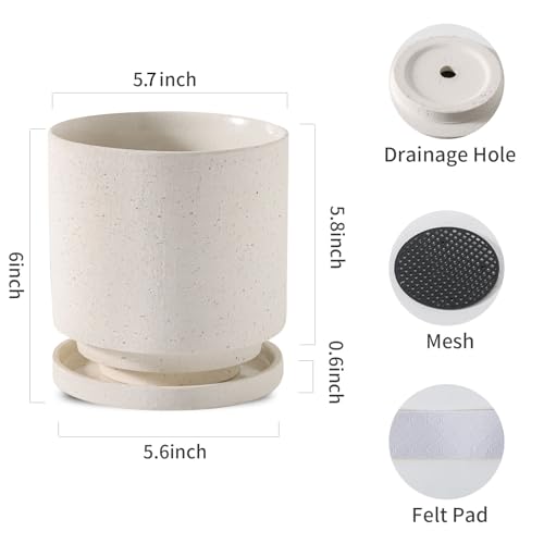 Nihow Ceramic Plant Pot Drainage Hole & Saucer for Indoor Plants, 5.7 Inch - color: White, size: 5.7 Inch