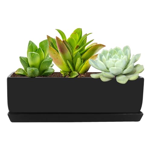 Vencer 14 Inch Rectangular Modern Minimalist Ceramic Succulent Planter Pot - Window Box with Saucer,Office Desktop Potted Stand,Black,VF-0175B - color: Black, size: 14 Inch